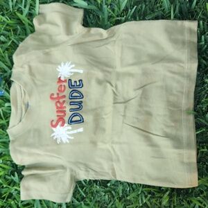 NWT Gymboree boys tshirt - size 2T (toddler)